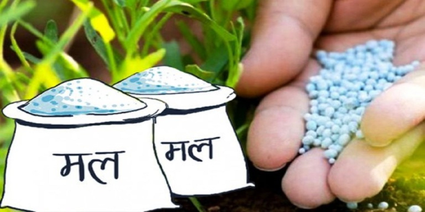 Samachar Dainik